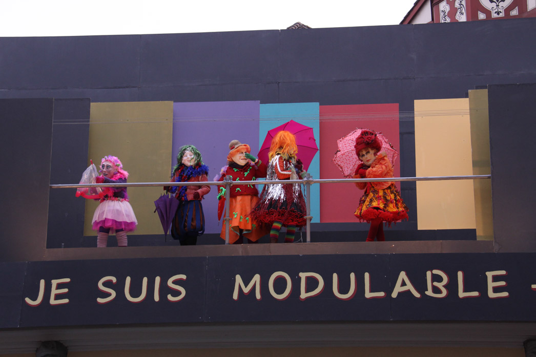 Moggetätscher Sujet 2015